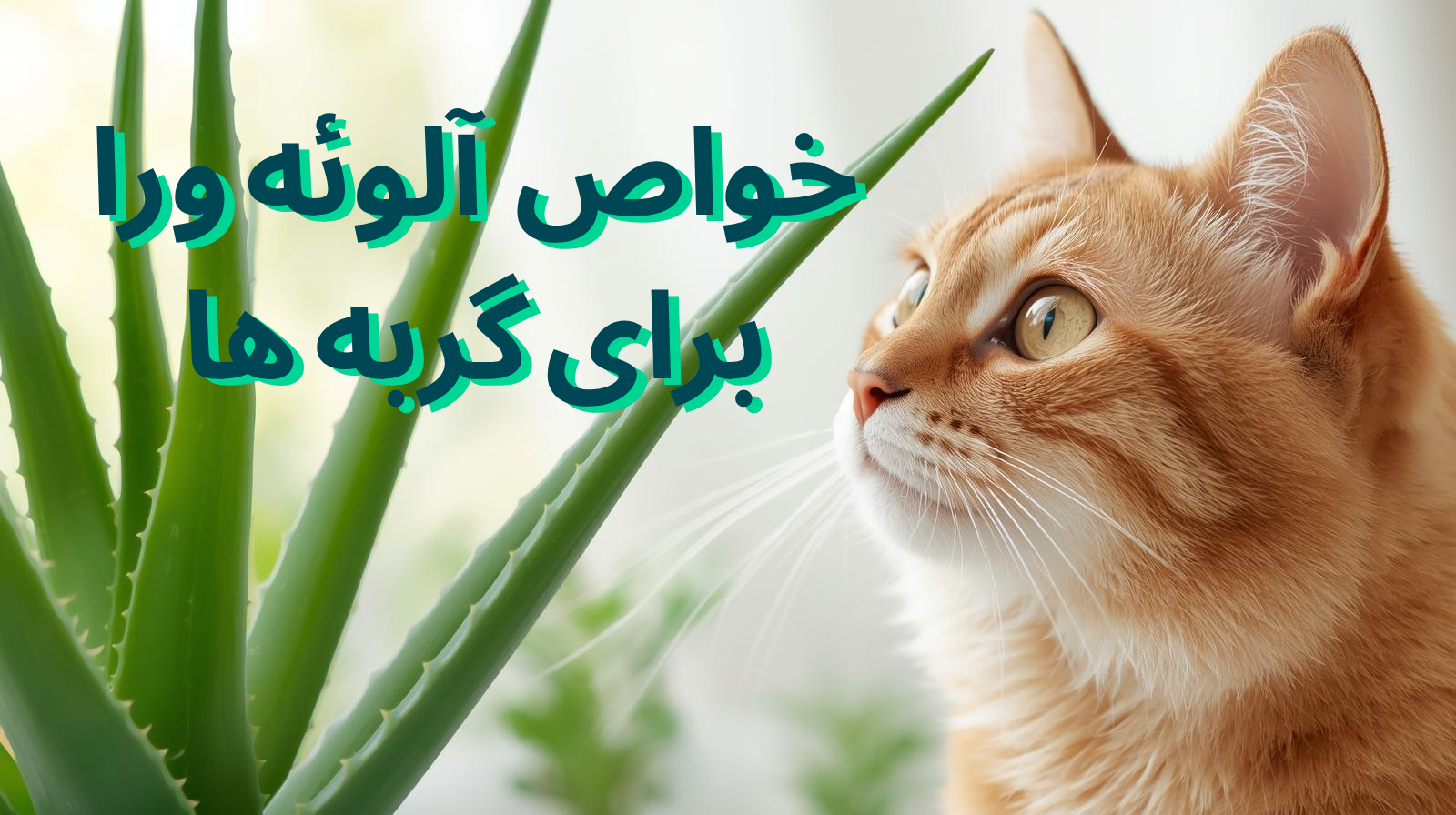 خواص آلوئه‌ورا برای گربه ها