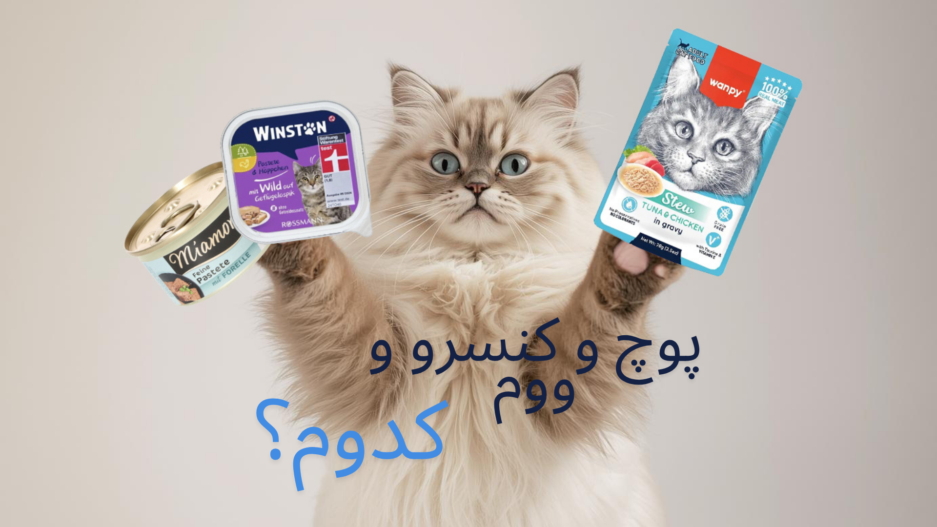 تفاوت پوچ، ووم و کنسرو در غذای تر حیوانات؛ کدام را باید انتخاب کنیم؟